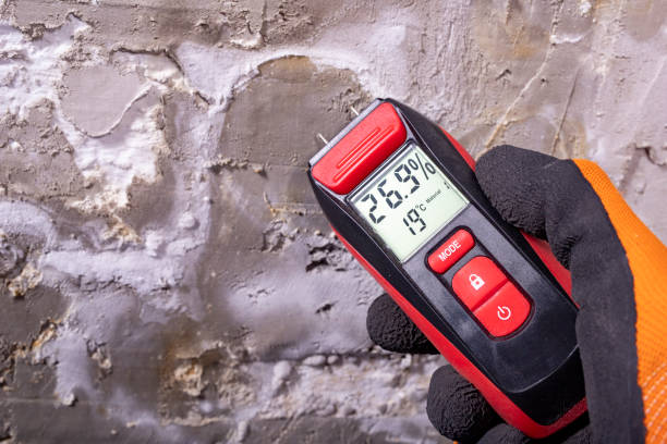 Best Crawl Space Mold Remediation in Strawberry, CA