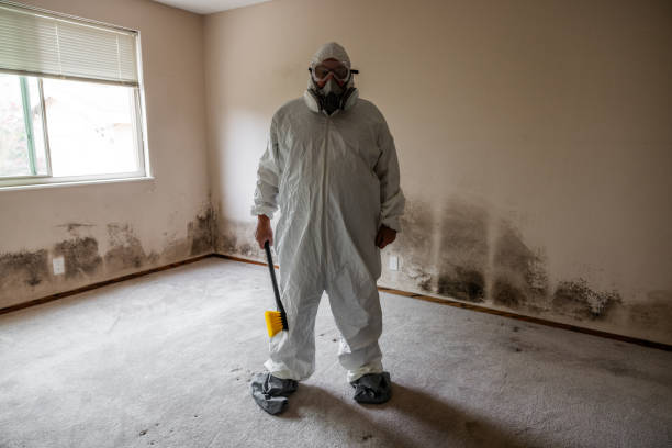 Best Mold Testing and Inspection Services in Strawberry, CA